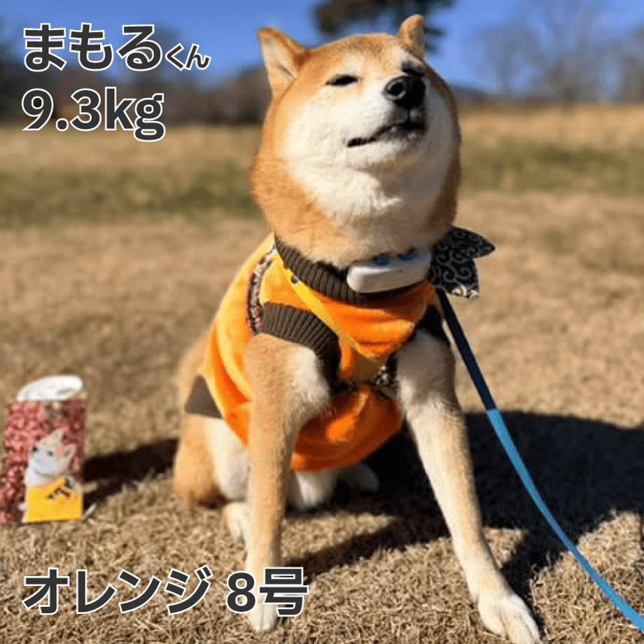 68e708ed286e63504660bd87