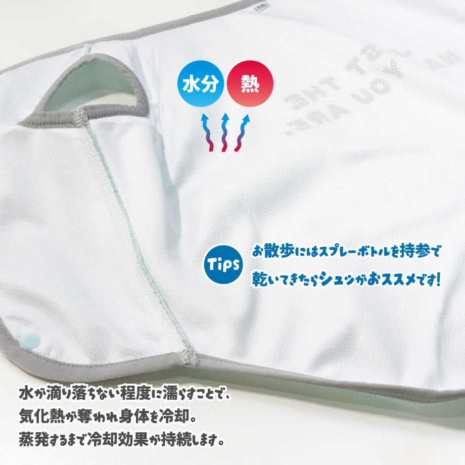 63f46cc8d1912346e59f35ef