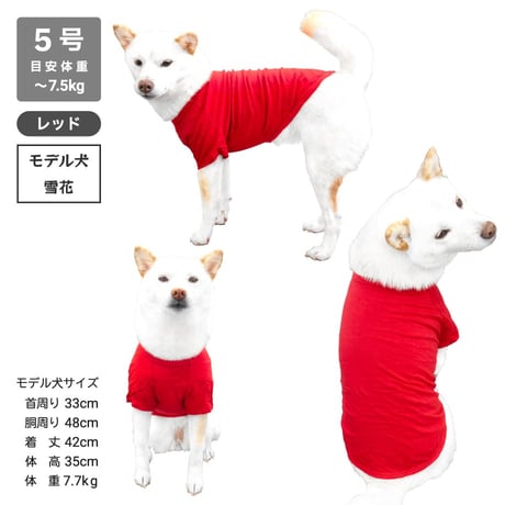 コットンTシャツ 5号・6号・7号  6.5kg～12kg