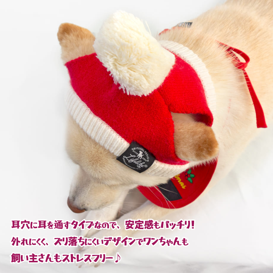 653ef5e860a81b09ee3ab2b5
