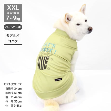 【送料無料】COOL ME ポップコーンタンク XL XXL 6～9kg