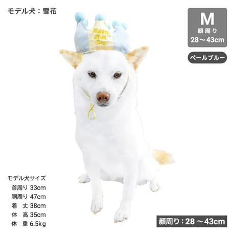 プレミアムバースデー クラウン・スタイ