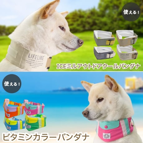 ロゴアイスパック 2個入り