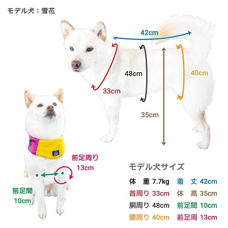 コットンTシャツ 5号・6号・7号 6.5kg～12kg | 柴犬の服屋さんONE歩