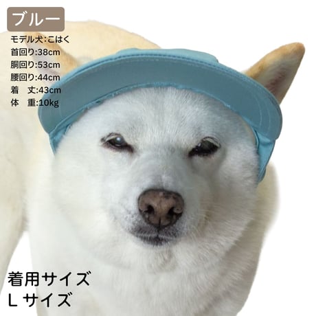 ペールトーン カラーキャップ