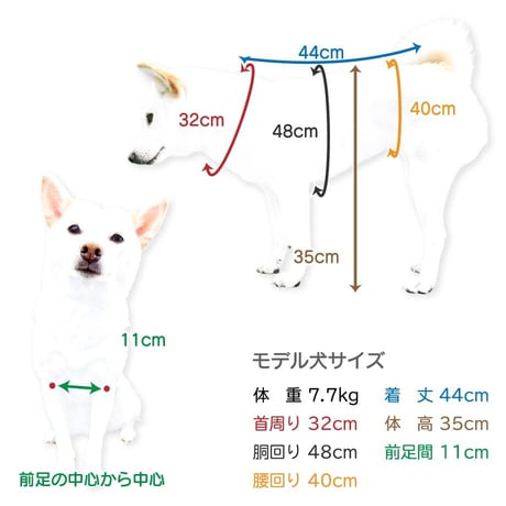 愛犬用袴 家紋付袴 10～12kg【在庫限りで終売】
