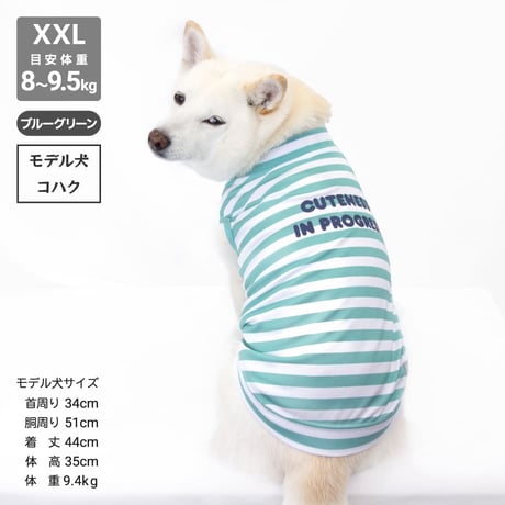 【送料無料】COOL ME ロゴプリントタンク XL 6～7.5kg 【在庫限り】