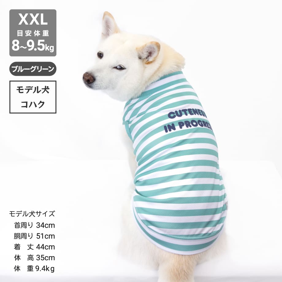 65d54103a625e8003dba837e