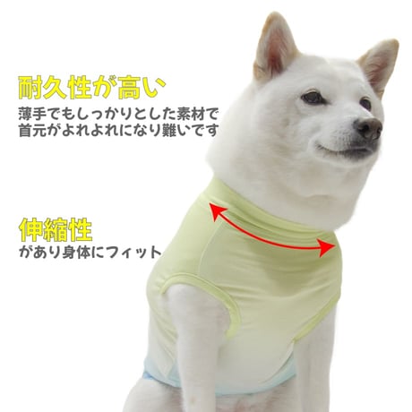 COOL+MOSCAPE リフレッシングタンク XXL 〜10kg 在庫限り