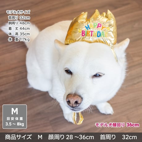 バースデークラウン
