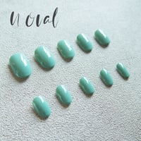 ワンカラーネイルチップ×２定期便【Nオーバルチップ】