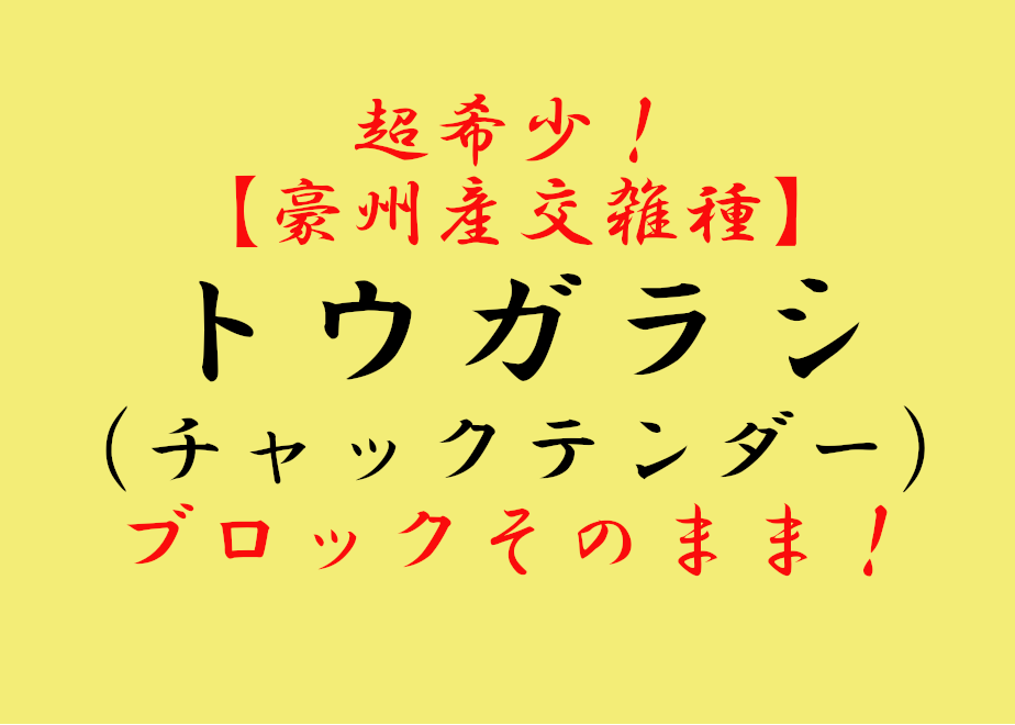 6466debd816e61002deee825