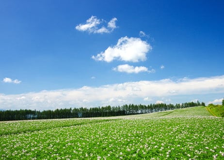 『お買得！』十勝豪華キャスト大盛セット（十勝産直品）・スパイスビーフ ・ロースハム・ローストビーフ・ポークウィンナー・ベーコン ・ソフトサラミ・ボンレスハム ・ボロニアソーセージ  TIK-101