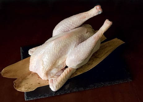 名古屋コーチン 丸鶏 中抜き　大（約1.6kg～） 冷凍　内臓を取り除いた状態でのお届けで解凍してすぐに使えます。ローストチキンや豪快なアウトドア料理もお楽しみ頂けます！
