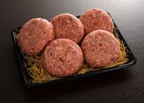 肉汁たっぷりカワトミハンバーグ／200g×5個