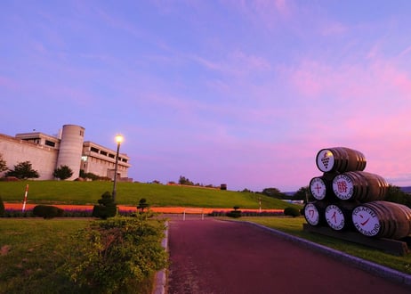 『お買得！』十勝豪華キャスト大盛セット（十勝産直品）・スパイスビーフ ・ロースハム・ローストビーフ・ポークウィンナー・ベーコン ・ソフトサラミ・ボンレスハム ・ボロニアソーセージ  TIK-101