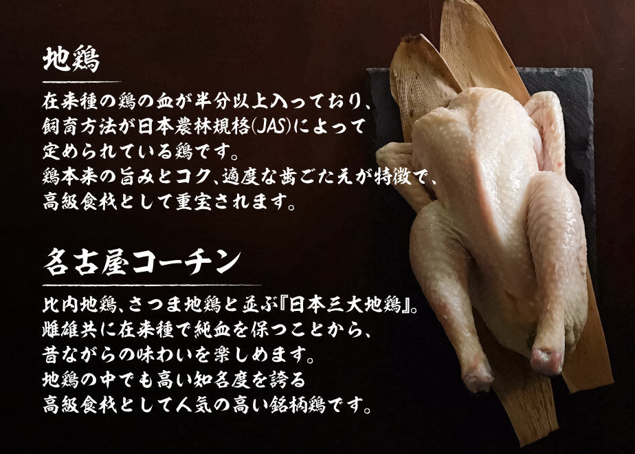 61f8ffef423f6a113133e421