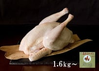 名古屋コーチン 丸鶏 中抜き　大（約1.6kg～） 冷凍　内臓を取り除いた状態でのお届けで解凍してすぐに使えます。ローストチキンや豪快なアウトドア料理もお楽しみ頂けます！
