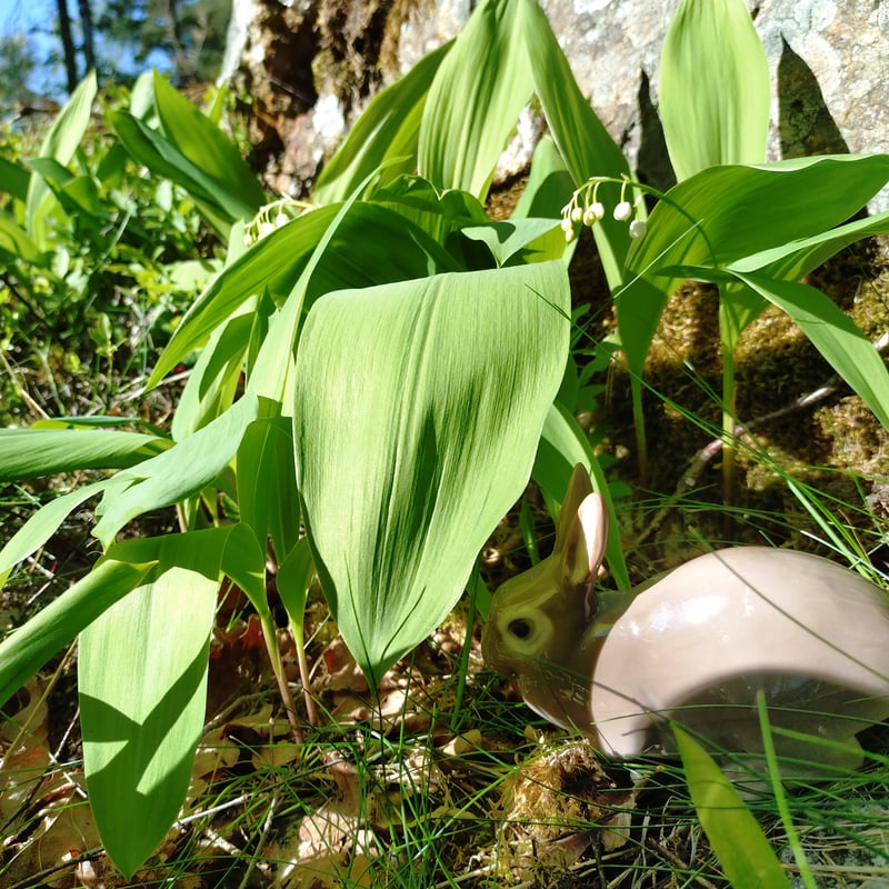 ビングオーグレンダール B&G ウサギ フィギュリン 2421KL ビングオーグレンダール B&G ウサギ フィギュリン 2421KL - メルカリ