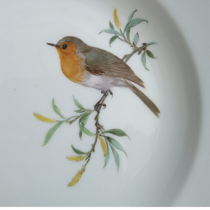 Meissenマイセン1957～1972年ドイツの鳥ヨーロッパコマドリの