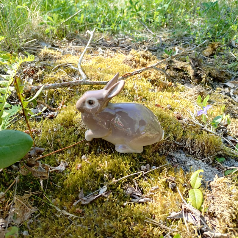 うさぎ　NＴ-146 785【ウサギの生活向上委員会】うさぎ達の安全確保！ 足元の隙間