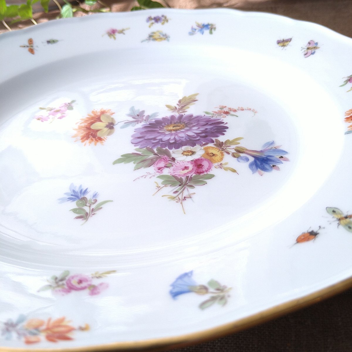 1860~1924年Meissen花と昆虫の絵 ディナープレート24㎝D 1860~1924年Meissen花と昆虫の絵 ディナープレート24㎝D