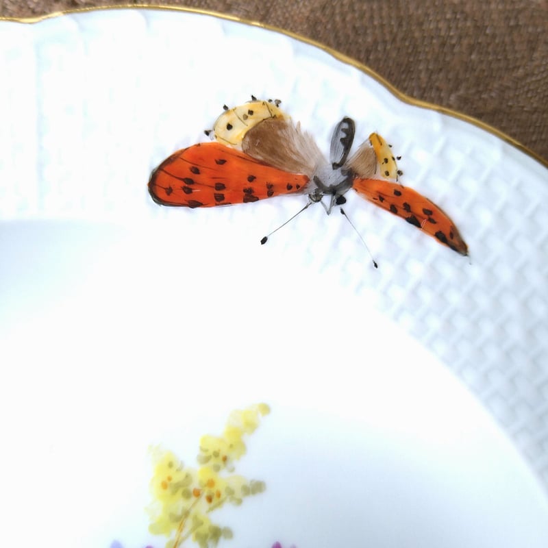 【古マイセン】印象主義 自然主義／皿 プレート「花と蝶 」⑤ マイセン 金彩 花のブーケと蝶の絵付け 自然主義 透かし絵皿 28.5