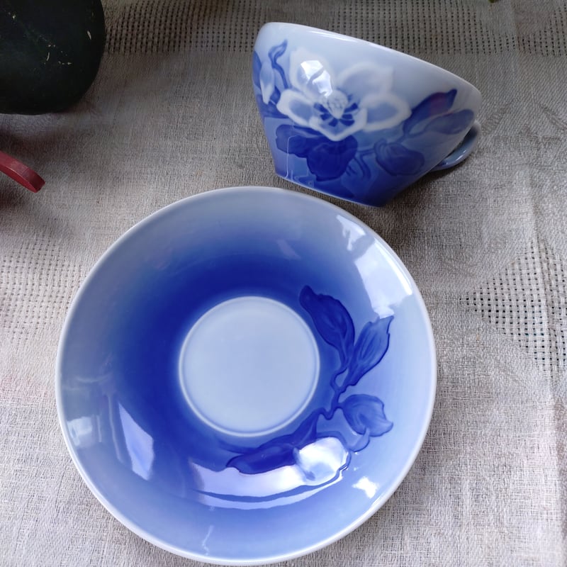 ブルーローズページイオンゲル＆クリア ブルーローズページイオンゲル＆クリア Oak Park Hardside Medium