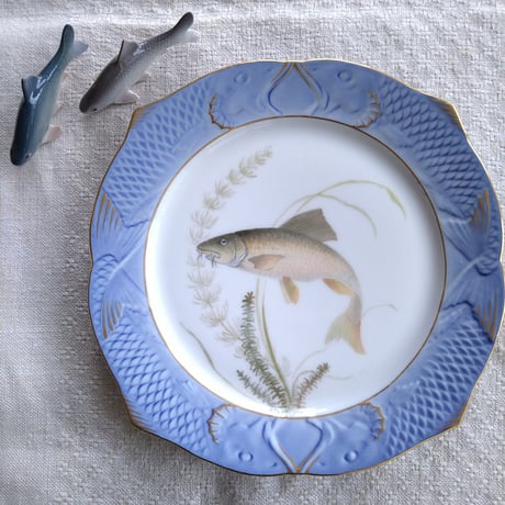 CATEGORY ブルーフルーテッドプレインなどその他/Other | アンティーク