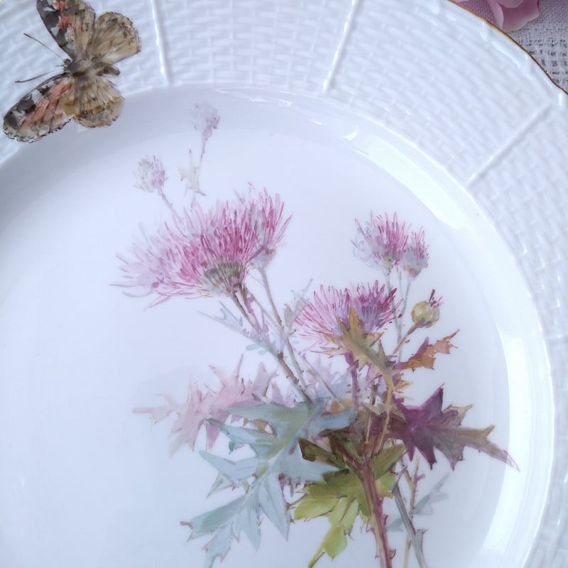 1924年以前Meissenのアザミと蝶🦋自然主義絵付けのお皿は直径約 1924年以前Meissenのアザミと蝶🦋自然主義絵付けのお皿は直径約