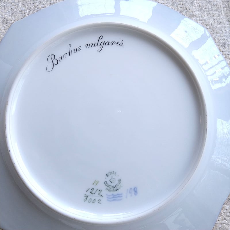 1924~1934年RoyalCopenhagenコイ亜科淡水魚バーベル🐟さかなの 1924~1934年RoyalCopenhagenコイ亜科淡水魚バーベル🐟さかなの