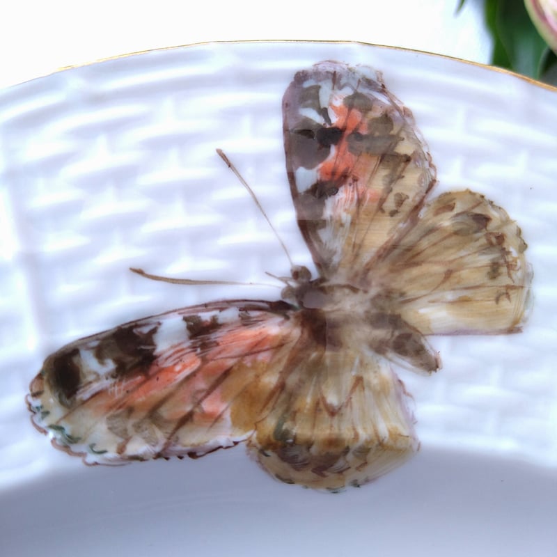 ローゼンタール フィギュリン チョウ 蝶 バタフライ 昆虫 花と蝶