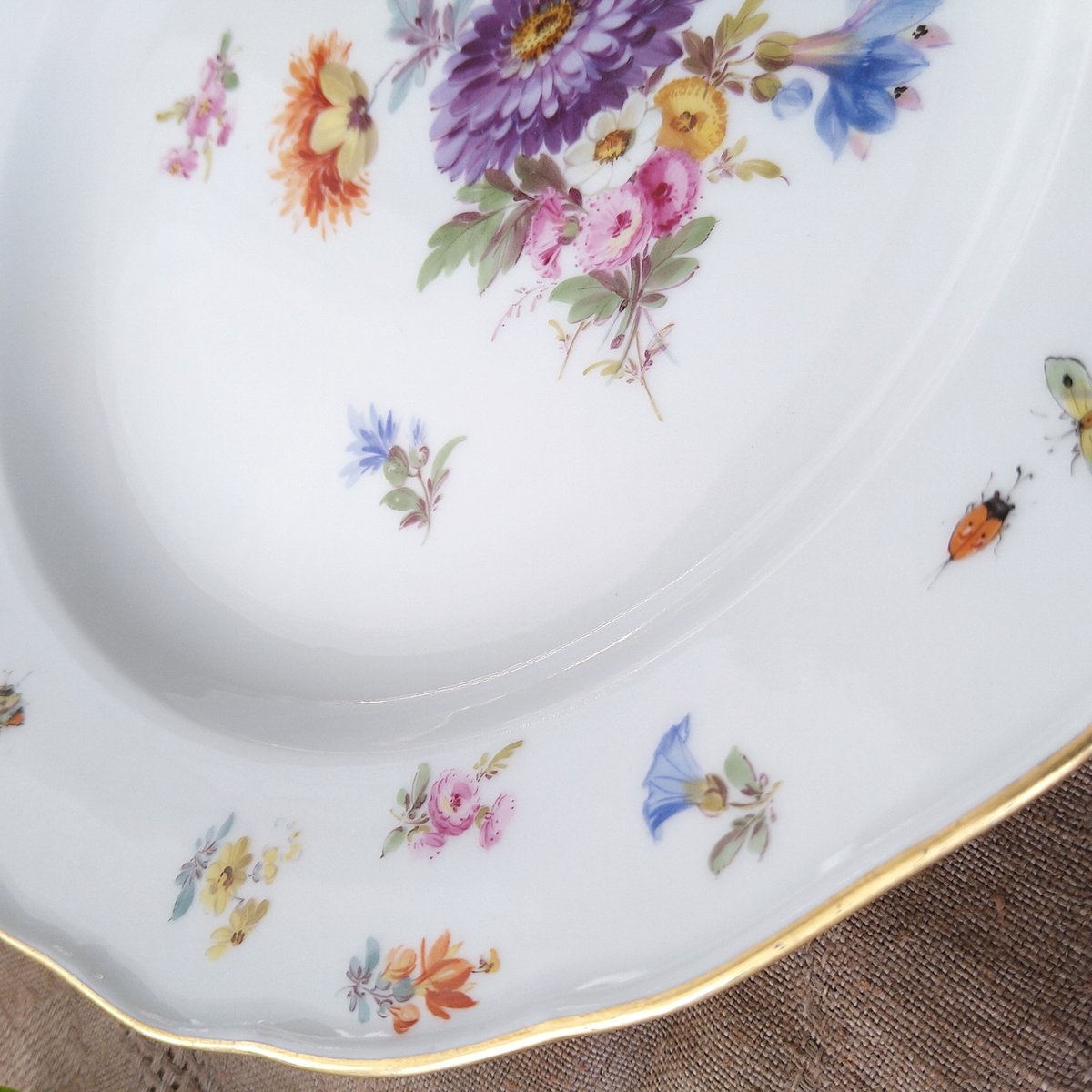 1860～1924年Meissen花と昆虫の絵 ディナープレート24㎝Dアスター