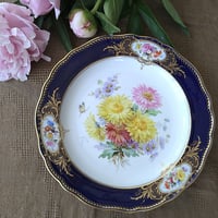 MEISSEN - マイセン Meissen 1850年頃 金彩花絵 昆虫文 ディナープレート ③ 1860～1924年Meissen花と昆虫の絵 ディナープレート24㎝D黄色と