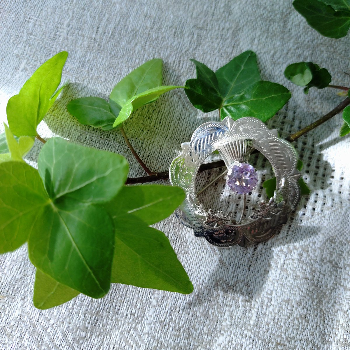 W.B.s スコットランドのアザミのシルバーブローチ直径約4.4㎝D