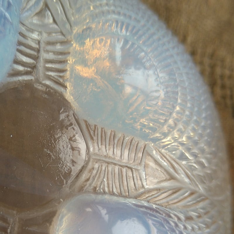 オパルセント 検ラリックプレート 5枚 直径21cm 東H5-0911②