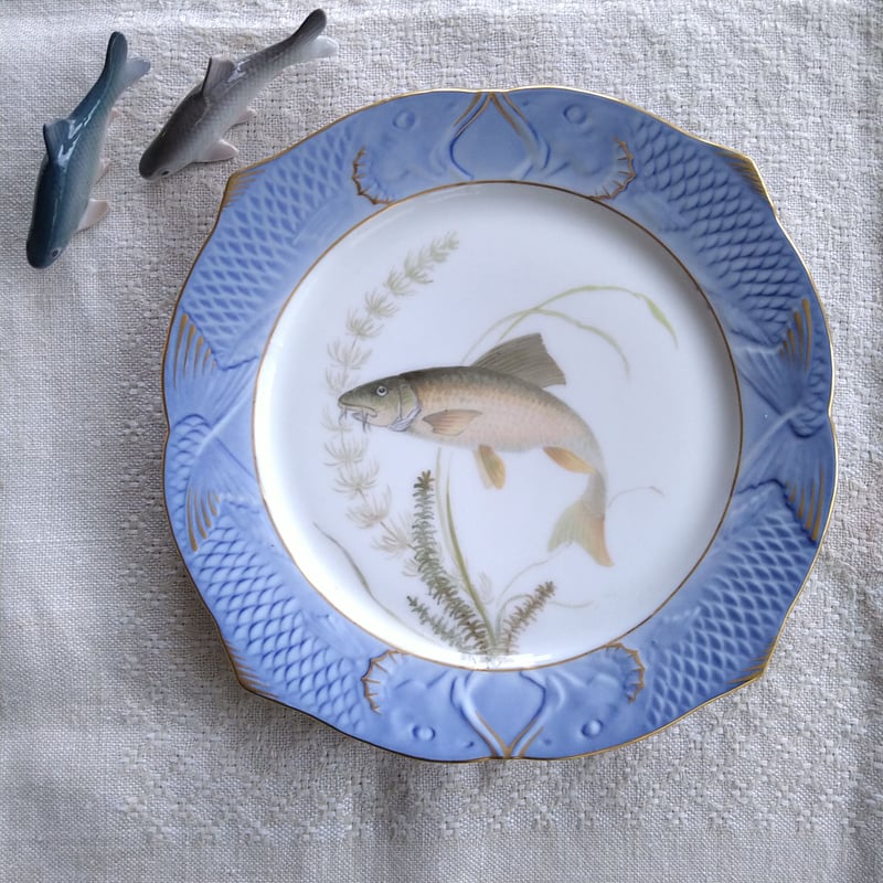 1924～1934年RoyalCopenhagenコイ亜科淡水魚バーベル🐟さかなの