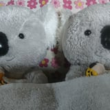 きゃり～のエネルギーグッズ&ヒーリング浄化ショップ