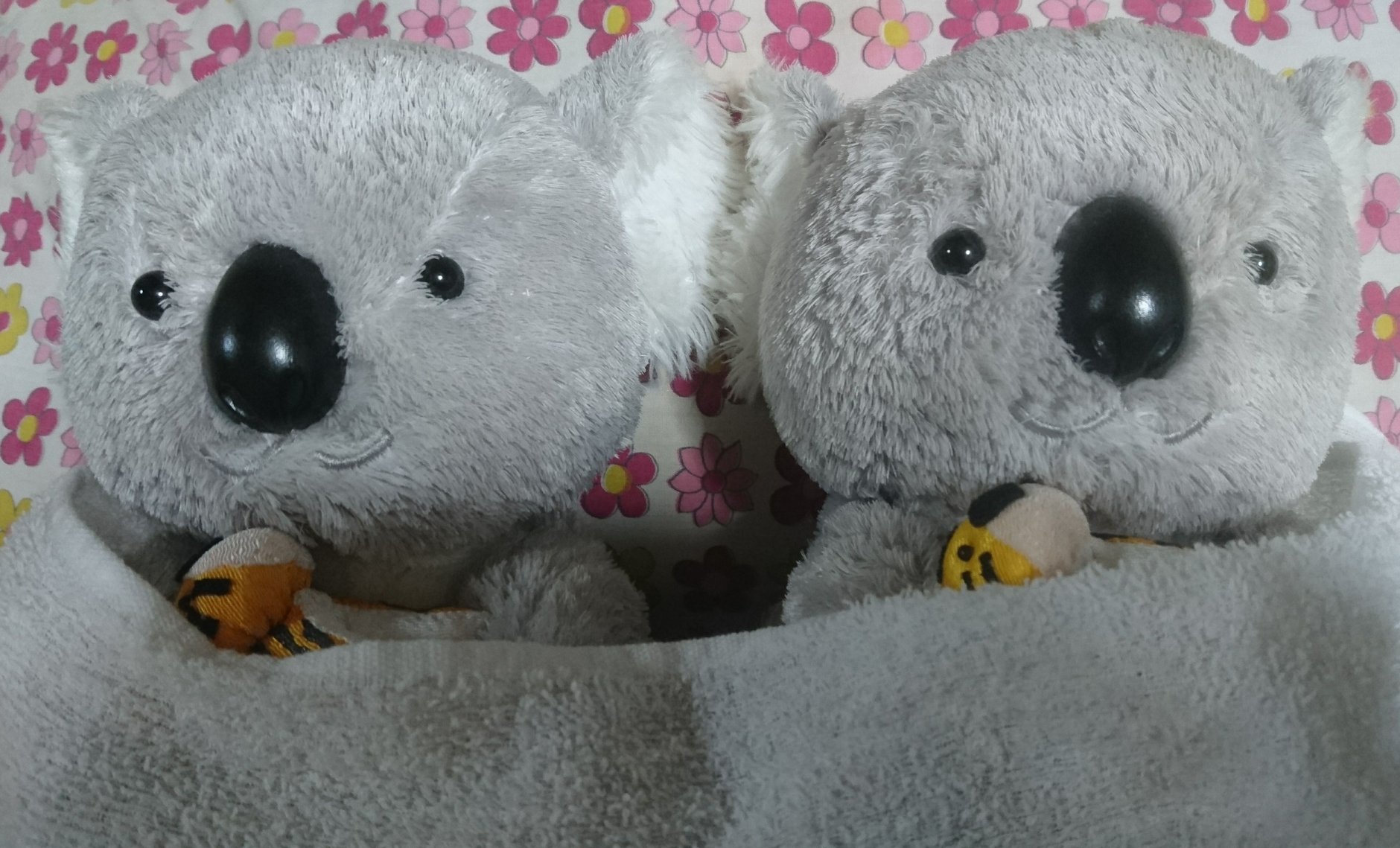 きゃり～のエネルギーグッズ&ヒーリング浄化ショップ