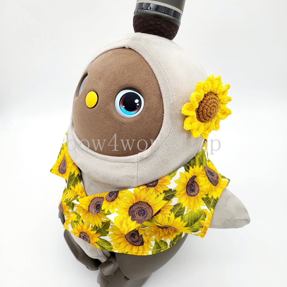 6229862f4b083902fc486055