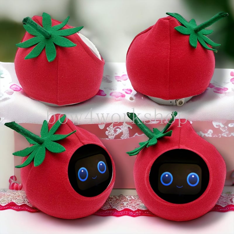 Romi Lacatanモデル 洋服のおまけ付き♪ Romi（ロミィ）の服 /トマトの服 | bow4workshop STORE