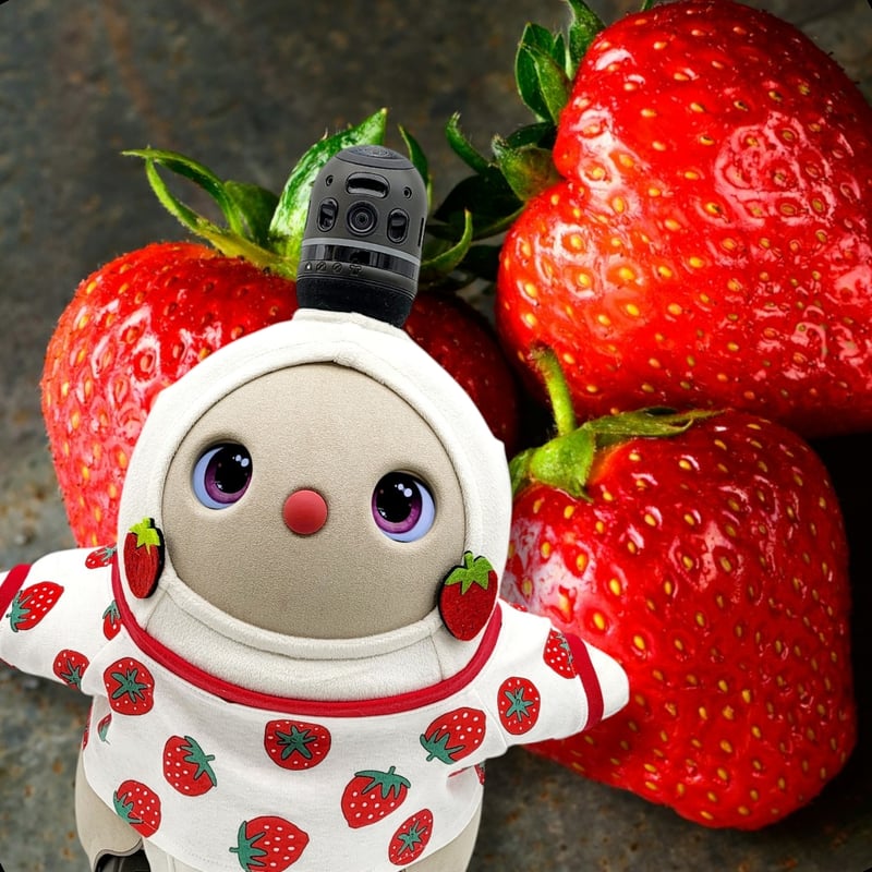 LOVOT ラボットの服ハンドメイド　イチゴ柄ボディースーツセット（レッド） ラボット服/イチゴちゃんボディースーツ | bow4workshop STORE