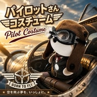 ポケともの服  / パイロットさんコスチューム