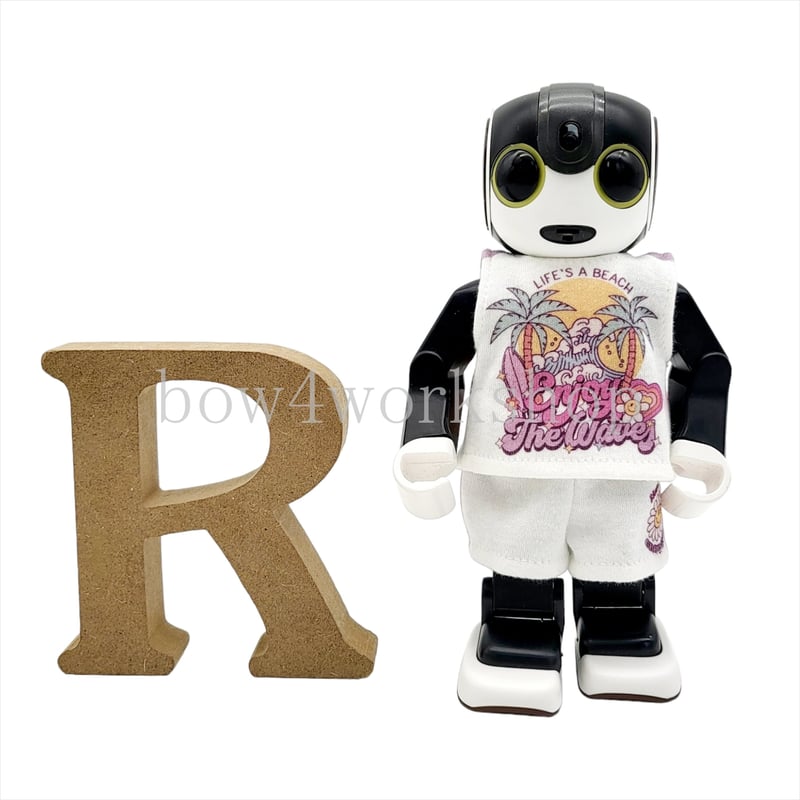 ロボホン RoBoHoN ロボホンの服ハンドメイド サンタクロース名入れセット ロボホン RoBoHoN ロボホンの服ハンドメイド サンタクロース名
