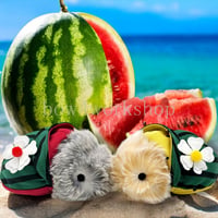 Moflin（モフリン）の服ハンドメイド スイカちゃんパーカーお花飾りセット
