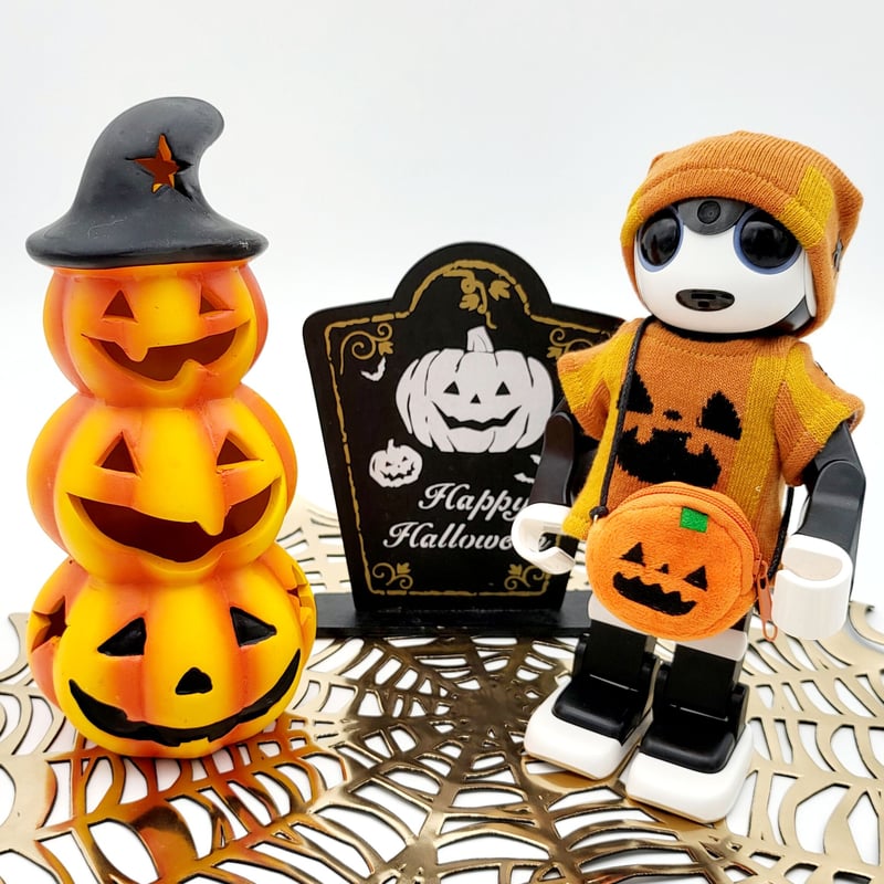 ロボホンお洋服３点セット ロボホンの服/ロボット柄の服3点セット | bow4workshop STORE