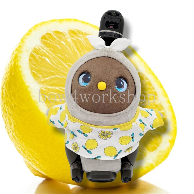 ラボット服/ フルーツ柄プリントTシャツ | bow4workshop STORE