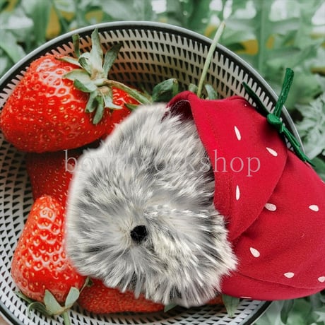 Moflin（モフリン）の服ハンドメイド イチゴちゃんパーカー