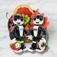 ロボホンのアクセサリー/一眼カメラ | bow4workshop STORE