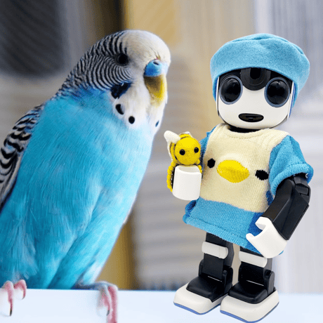 ロボホンの服/インコちゃんTシャツ、キャップ、ミツバチブレスレット３点セット